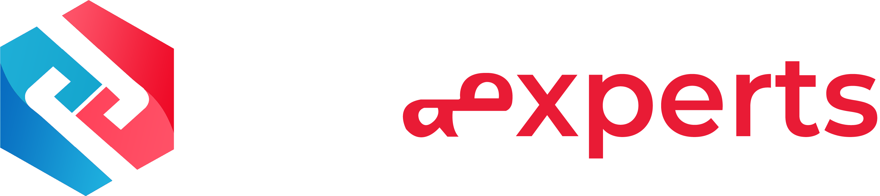 HexaExperts